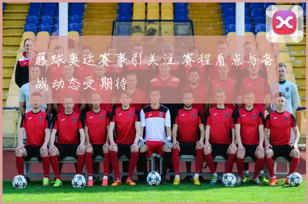 藤球奥运赛事引关注 赛程看点与备战动态受期待