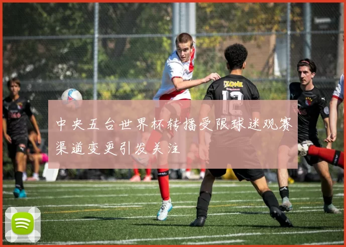 中央五台世界杯转播受限球迷观赛渠道变更引发关注