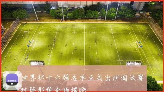 世界杯十六强名单正式出炉淘汰赛对阵形势全面揭晓